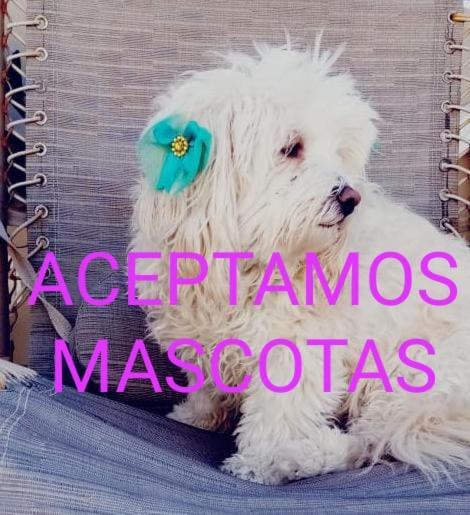 Canela Apartment, Pet Friendly Puerto Peñasco المظهر الخارجي الصورة